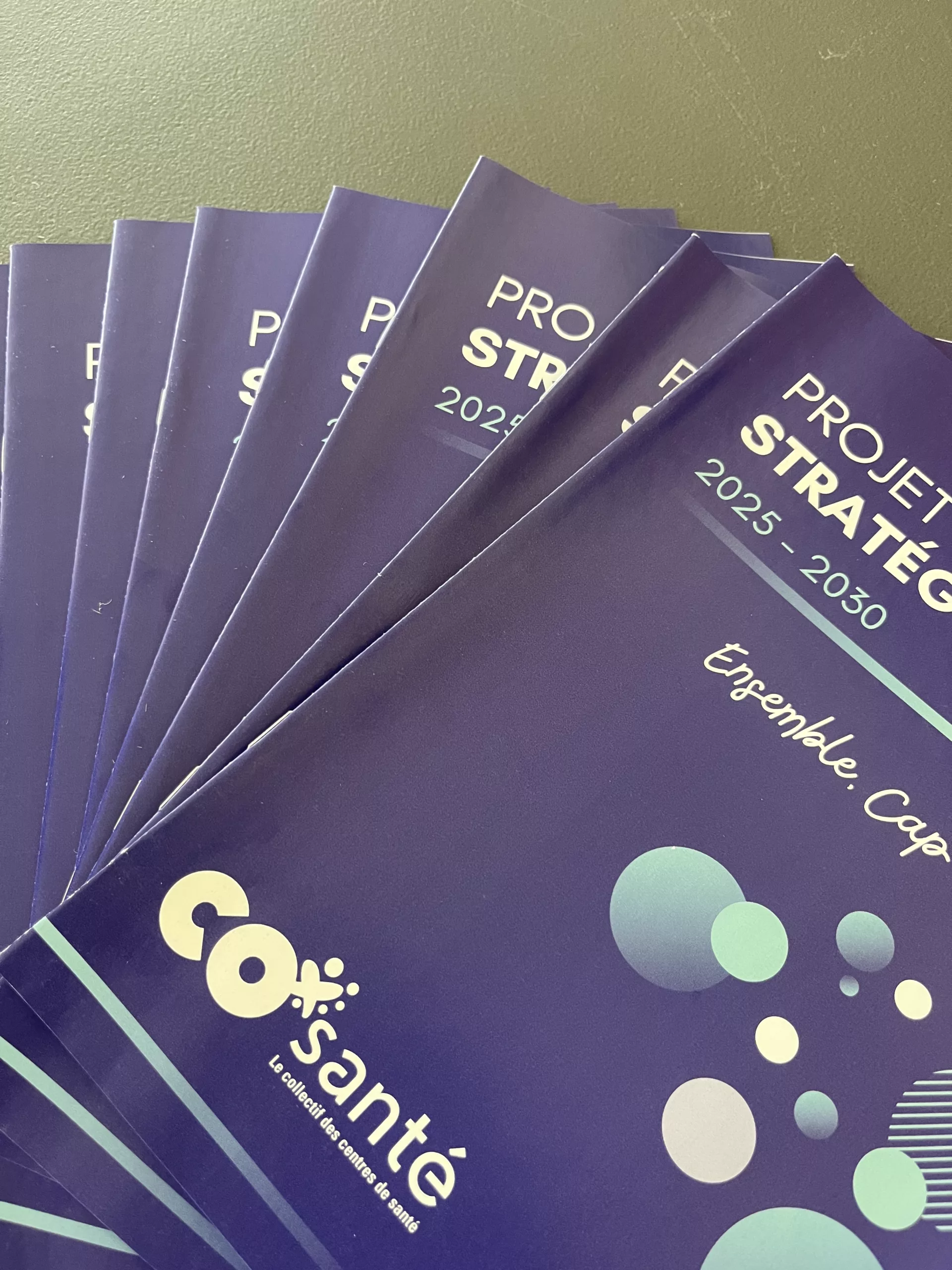 Stratégie CO'santé centres de santé Pays de La Loire